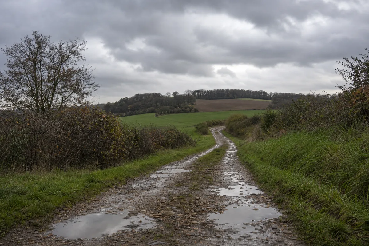 Chemin rural de campagne bordé de haies après une averse, ciel couvert